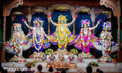 Daily Darshan