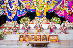 Daily Darshan