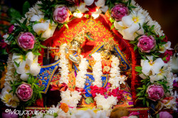 Daily Darshan