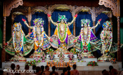 Daily Darshan