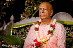 Daily Darshan