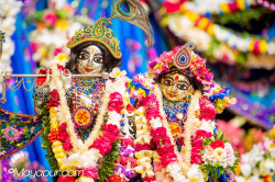 Daily Darshan