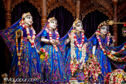 Daily Darshan