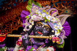 Daily Darshan