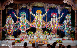 Daily Darshan
