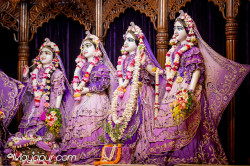 Daily Darshan