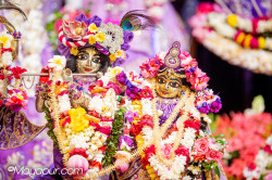 Daily Darshan