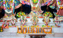 Daily Darshan