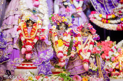 Daily Darshan