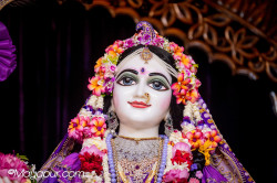 Daily Darshan