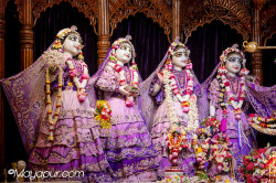 Daily Darshan