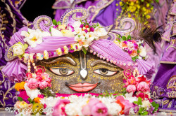Daily Darshan