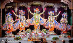 Daily Darshan