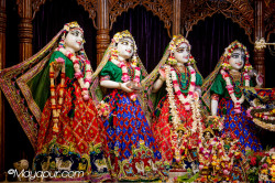 Daily Darshan