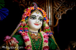 Daily Darshan