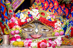 Daily Darshan