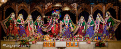 Daily Darshan