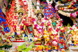 Daily Darshan
