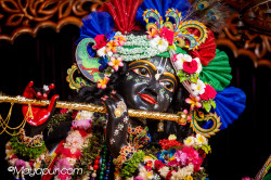 Daily Darshan