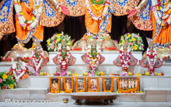 Daily Darshan