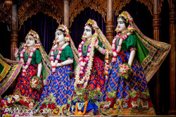 Daily Darshan