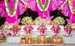 Daily Darshan