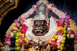 Daily Darshan