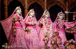Daily Darshan