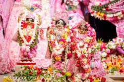 Daily Darshan