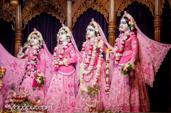 Daily Darshan
