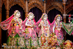 Daily Darshan