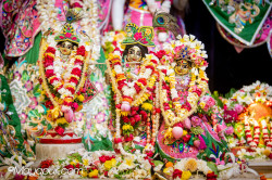 Daily Darshan