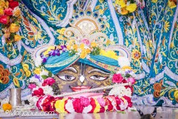 Daily Darshan