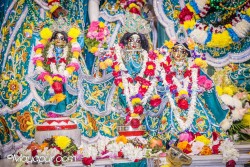 Daily Darshan