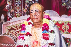 Daily Darshan