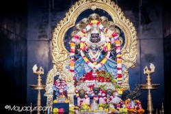 Daily Darshan