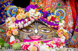 Daily Darshan