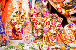 Daily Darshan