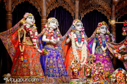 Daily Darshan