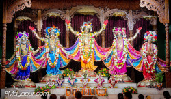 Daily Darshan