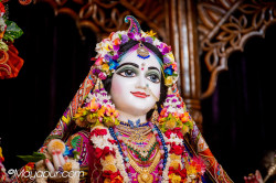 Daily Darshan