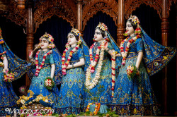 Daily Darshan