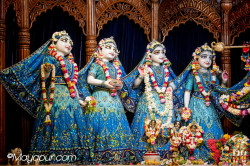 Daily Darshan