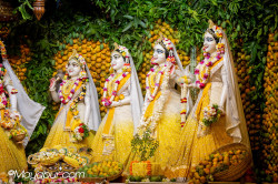 Daily Darshan