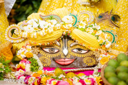 Daily Darshan