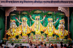 Daily Darshan