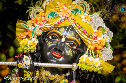 Daily Darshan