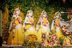 Daily Darshan