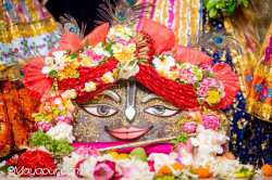 Daily Darshan
