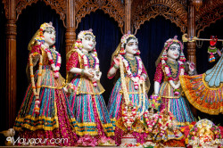 Daily Darshan